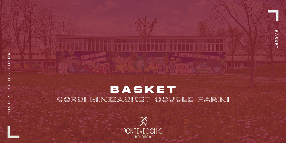 basket-minibasket-palestra-farini